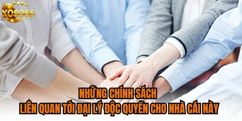 Những chính sách liên quan tới đại lý độc quyền cho nhà cái này