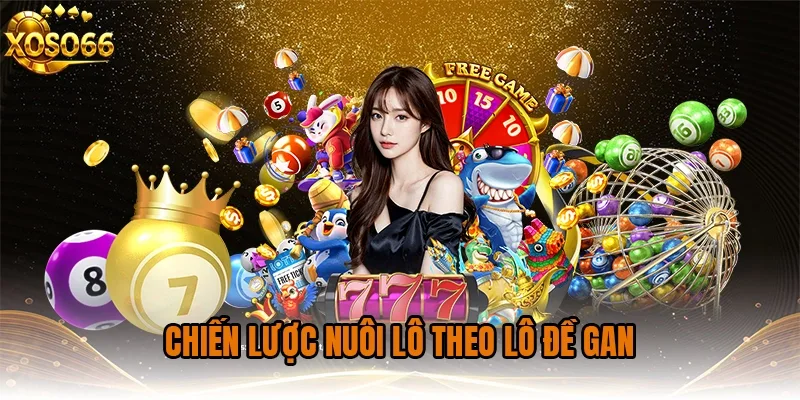 Chiến lược nuôi lô theo Lô đề gan